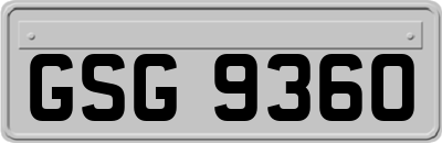 GSG9360