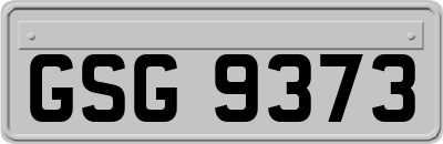 GSG9373