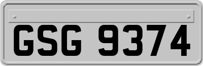 GSG9374