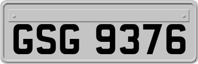 GSG9376