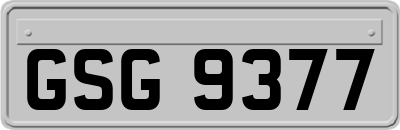 GSG9377