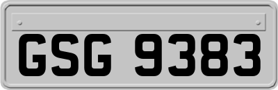 GSG9383