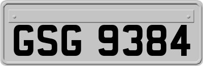GSG9384