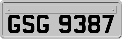 GSG9387