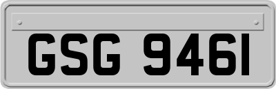 GSG9461