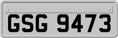 GSG9473