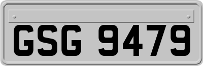 GSG9479