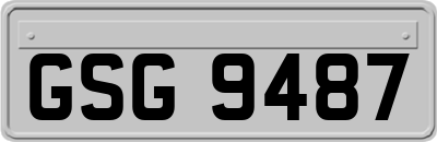 GSG9487
