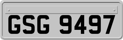 GSG9497