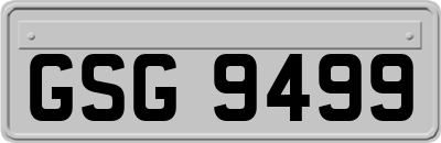 GSG9499