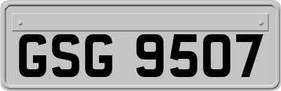 GSG9507