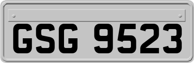 GSG9523
