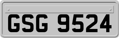 GSG9524