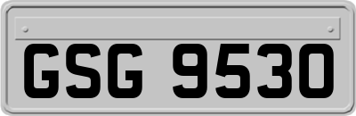 GSG9530