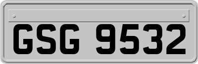 GSG9532