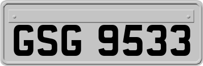 GSG9533