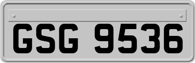GSG9536