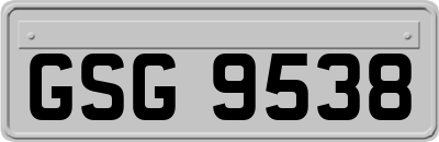 GSG9538