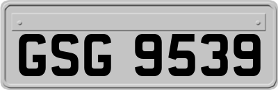 GSG9539