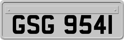 GSG9541