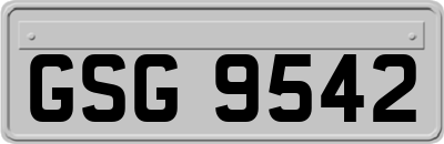 GSG9542