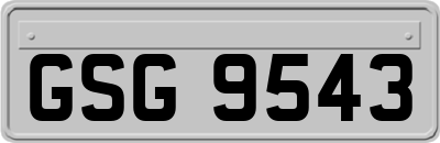 GSG9543