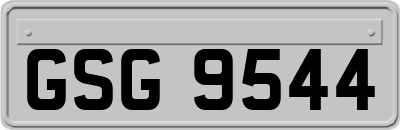 GSG9544