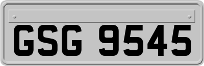 GSG9545