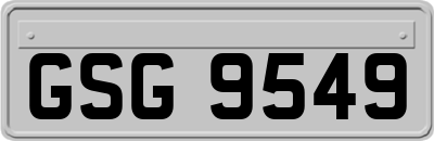 GSG9549