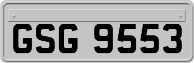 GSG9553