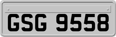 GSG9558