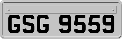 GSG9559