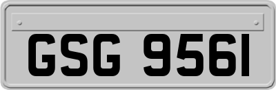 GSG9561