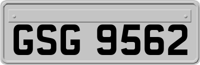 GSG9562