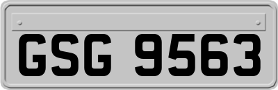 GSG9563