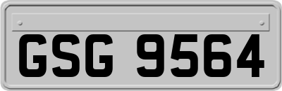 GSG9564