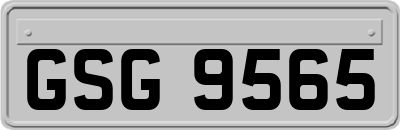 GSG9565