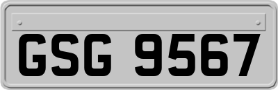 GSG9567