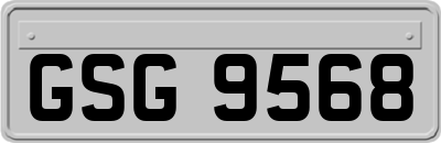 GSG9568
