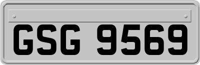 GSG9569