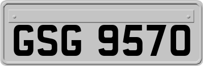 GSG9570