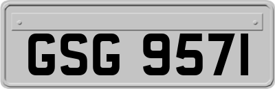 GSG9571