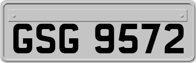 GSG9572