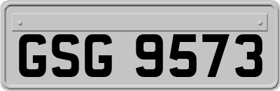 GSG9573