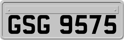 GSG9575