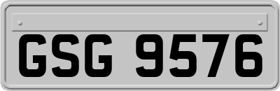 GSG9576