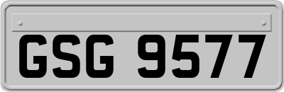GSG9577