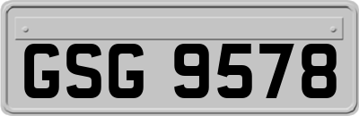 GSG9578