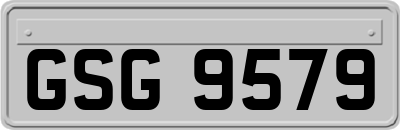 GSG9579
