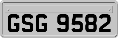 GSG9582